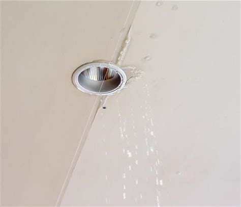 water leaking from light fixture|3 Reasons Why Your Light Fixture Is Suddenly Leaking